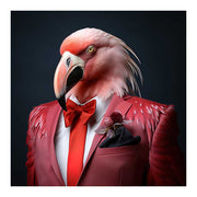 Colección Adorer Black